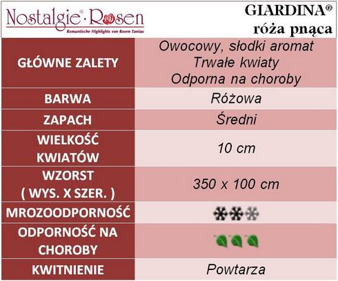 Giardina róże pnące gł. zal